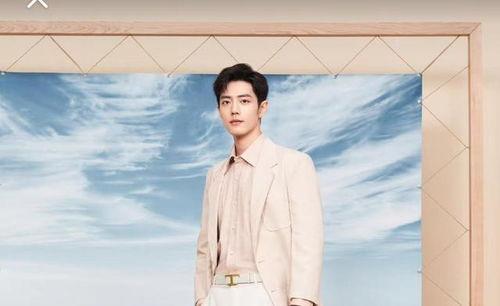 有关肖战八卦爆料最新,揭秘娱乐圈最新八卦爆料